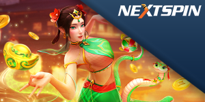 Nextspin